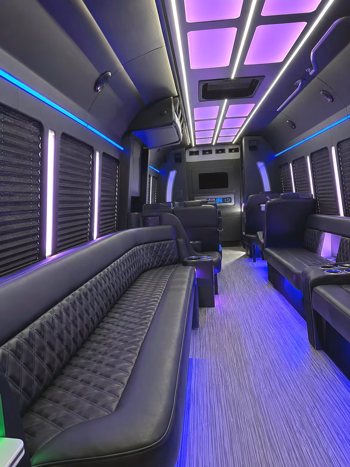 Group beside a Mercedes Sprinter limo in Carrollton