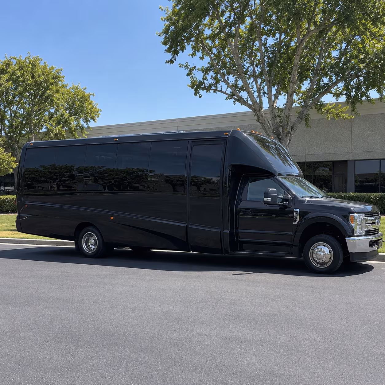 Carrollton Birthday, Sweet 16, & Quinceañera Transportation party bus exterior
