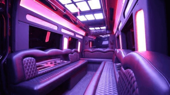 carrollton 15 passenger party bus interior