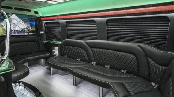 carrollton 15 passenger party bus rental