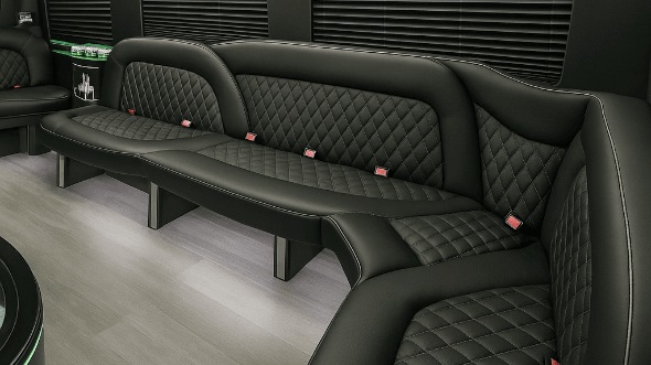 carrollton 18 passenger party bus interior