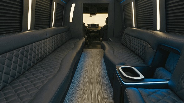 carrollton 25 passenger party bus rental