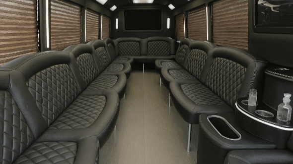carrollton 28 passenger party bus rental