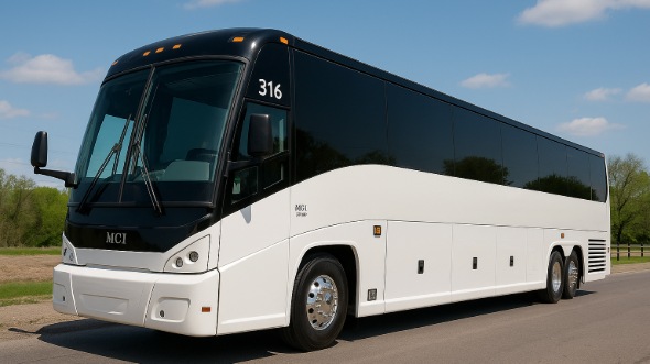 frisco bachelor and bachelorette party bus rentals