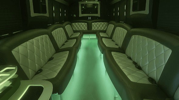 rowlett 20 passenger party bus